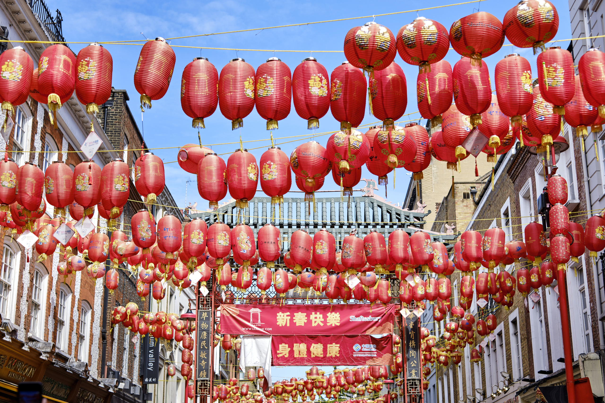 Golden City Chinese Food London Ontario Cortney Ernst