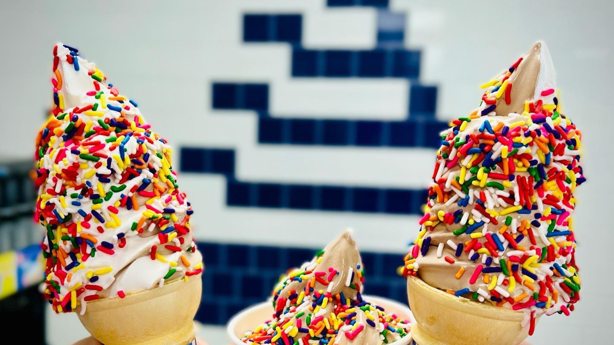 The 9 Tastiest Ice Cream Parlors For A Sweet Treat In Denver - Secret Denver