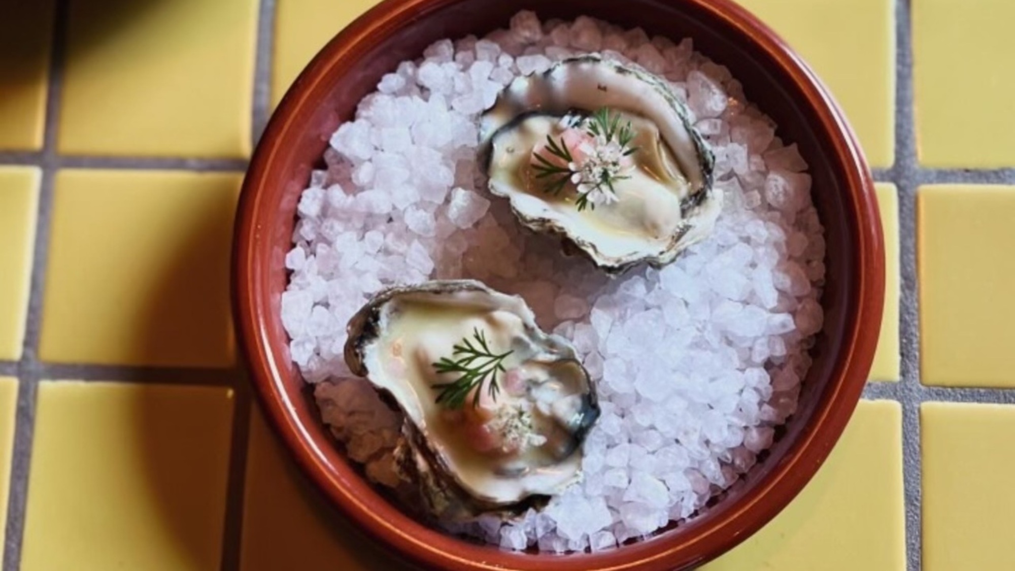 Bar Jabroni oysters