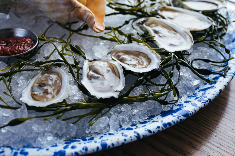 Oysters at Nico Oysters + Seafood