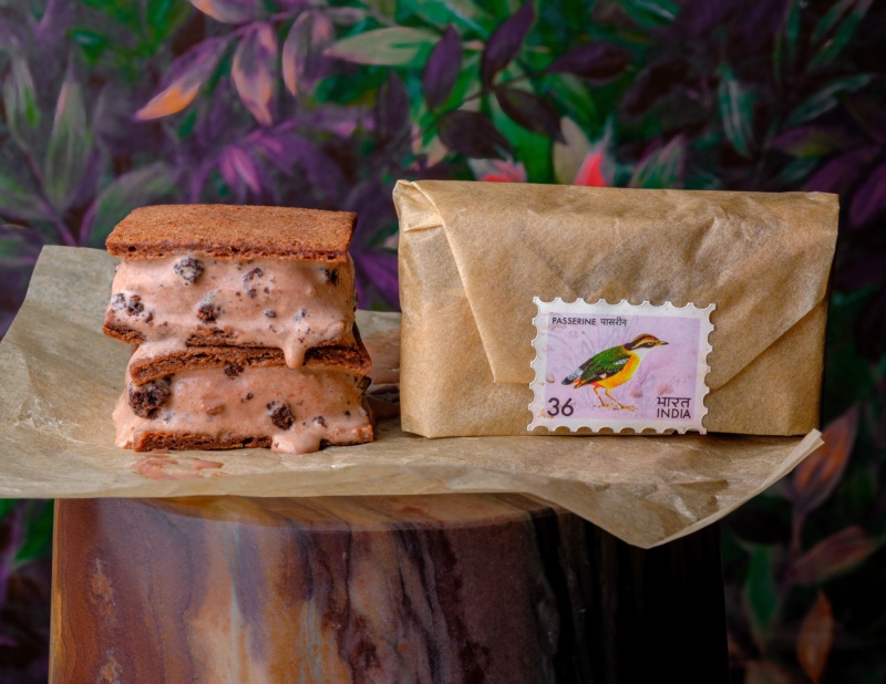Passerine ice cream sandwich