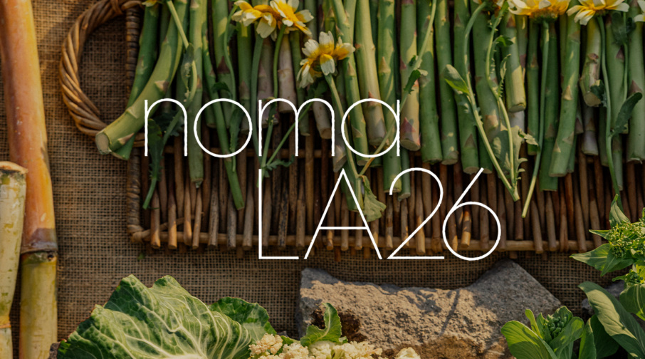 nomaLA26