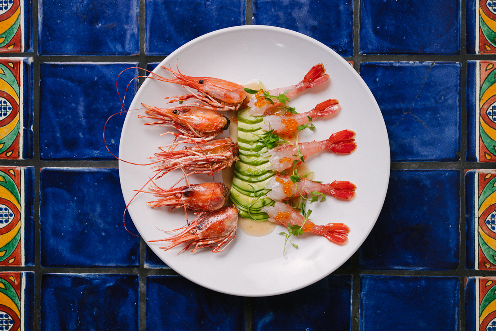 Shrimps at Holbox